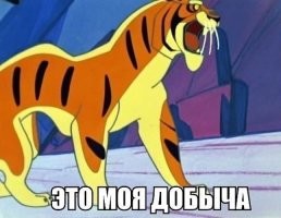 Тигр украл у рыбаков в Приморье ведро с уловом