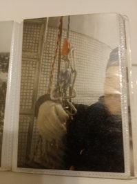 Раскручивается, конечно, но потом. 

У меня есть самодельная спусковуха (подарили) на две верёвки. 
По принципу как на картинке ниже, только вместо карабина и "полочки", два поворотных "шплинта". 
Можно выстегивать одну верёвку, оставляя вторую.