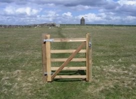 Фермеры в Альпах устали от наглости туристов и придумали нестандартное решение