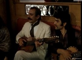 Японец подружился со шмелём и сделал его своим питомцем