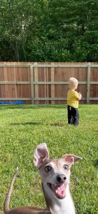 30 смешных моментов, когда питомцы влезли в кадр и перетянули всё внимание на себя