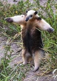 Вот настолько равнодушно!