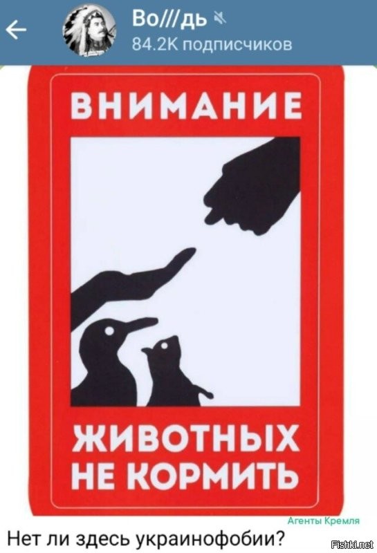 Конечно нет. Нет ведь свинного и визжащего рыла на картинке