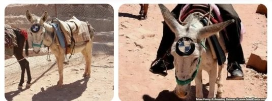 Это водители таких БМВ.