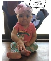 30 смешных моментов, когда питомцы влезли в кадр и перетянули всё внимание на себя