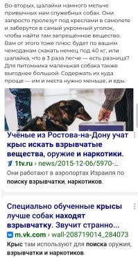 Крысы ещё удобнее в этом плане. :)