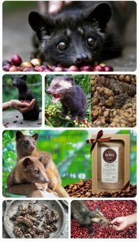 Не котиков надо было...