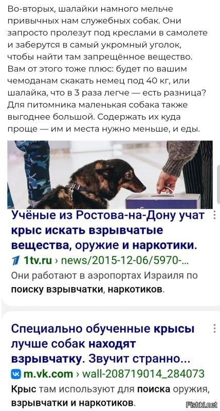 Крысы ещё удобнее в этом плане. :)
