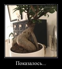 16 фотографий с оптическими иллюзиями, при разгадке которых можно сломать мозг или запутаться
