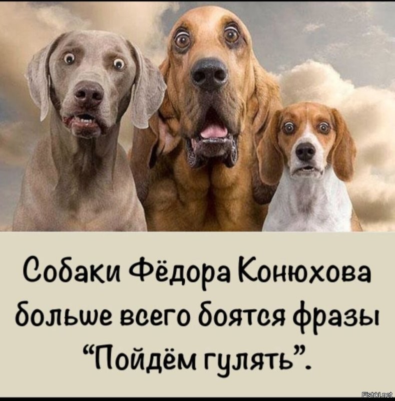 Выше только звезды: Конюхов и Меняйло побили новый рекорд на высоте 10 678 метров