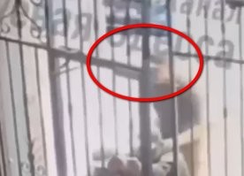 И никакого рывка на себя ТЦК-шник не делал. Он когда схватился за прутья, просто отклонился назад, чтобы с силой толкнуть эту калитку ОТ СЕБЯ ВНУТРЬ, а не наоборот. Внимательнее видео просмотрите.
И где Вы там магнитный замок увидели?
Они там эту калитку внутрь вогнули и никакого замка: