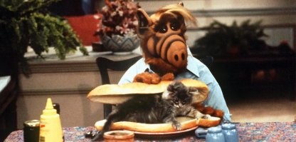 У меня кота очень тревожит...