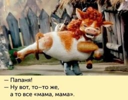 Мужчина выпил лишнего на вечеринке: гуляку домой проводил бычок