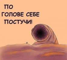 Просто гифки, всякие и&nbsp;разные