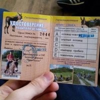 Не на тот транспорт его посадили!