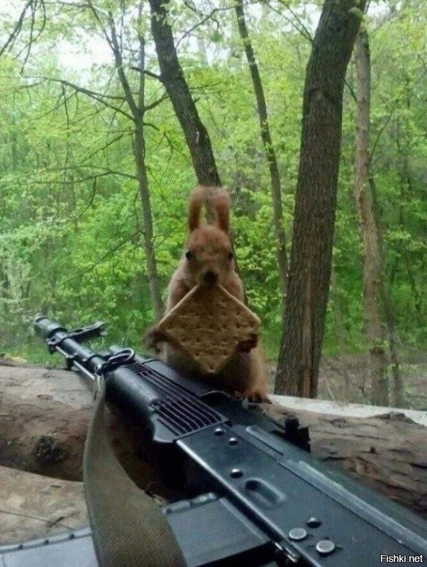 Сухпаёк на двоих.