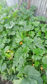 Придумал развлечение на вечер