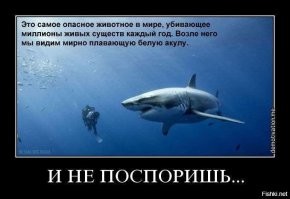 Самые большие существа, живущие в реках!