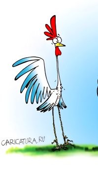 Продажа одежды через онлайн-трансляции в Китае