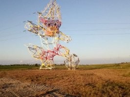 25 необычных фотографий обычных предметов, животных и процессов