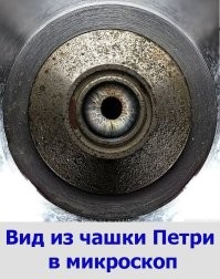 25 необычных фотографий обычных предметов, животных и процессов
