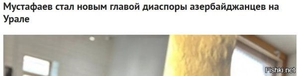 Диаспоры нужно полностью ликвидировать, а не арестами по одному преступнику за раз заниматься, иначе этот пляцкий цирк никогда не кончится.