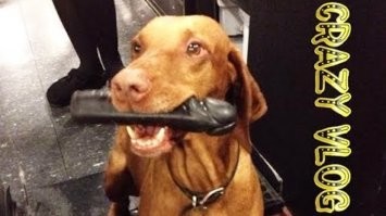 Надо времени чуть больше, но чтобы в кромешной тьме было, чтобы совсем непонятно что вытащишь.