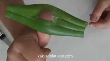 Из лука делал, из кабачка пока нет!)