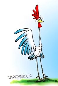 Продажа одежды через онлайн-трансляции в Китае