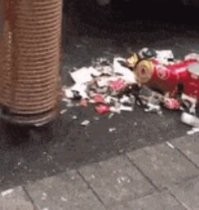 Это ж надо так город засрать!