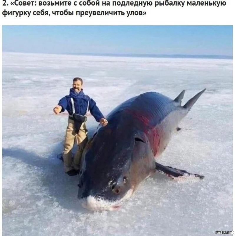 Почему рыба из реки Амур крайне агрессивна в других водоёмах?