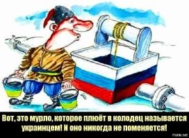 Дошла до пшеков благодарность хохлов