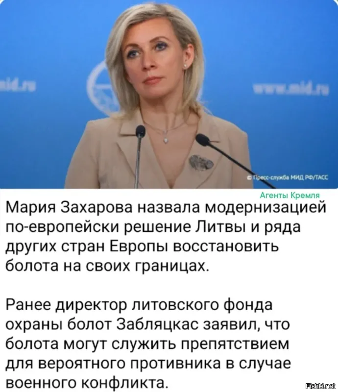 Предлогаю в приграничных государства, силами самой Европы устроить могильники радиактивных, бактериологических и химических отходов. Тогда Россия на них точно не нападёт.