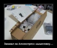 Берите, она классная! У меня уже три таких, хоть мышей и не было! Правда, есть доп функции, сами узнаете.