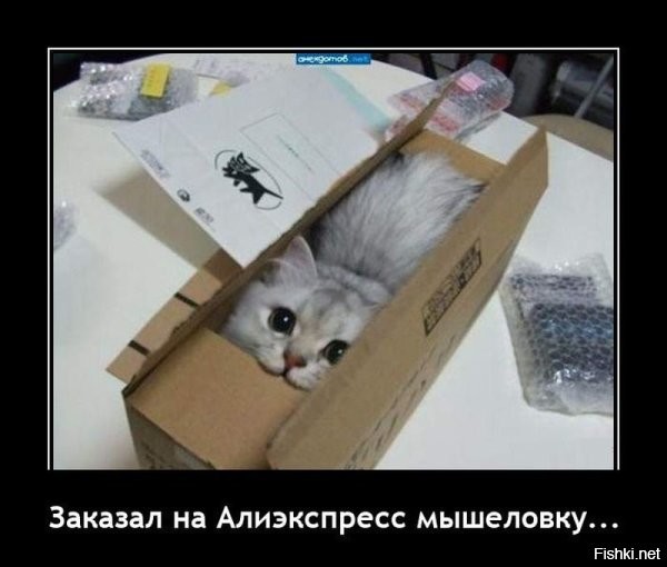 Берите, она классная! У меня уже три таких, хоть мышей и не было! Правда, есть доп функции, сами узнаете.