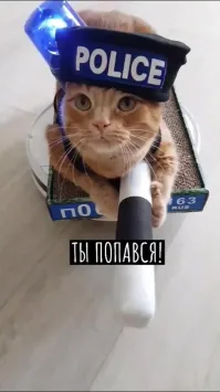 В США копы показали способ поймать любого автонарушителя