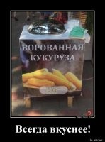 Обычно ворованная кукуруза кормовая. А она жёсткая