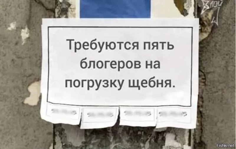 Самый честный Сочинский бомж