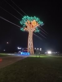 25 необычных фотографий обычных предметов, животных и процессов