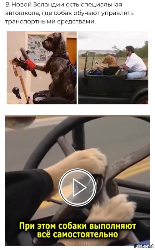 В автошколу и на пересдачу!