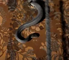 Англия... Мужику стоит перечитать книгу. А вдруг...