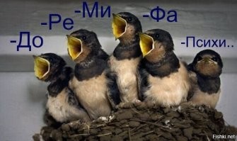 20 фотографий, которые заменят тысячи слов