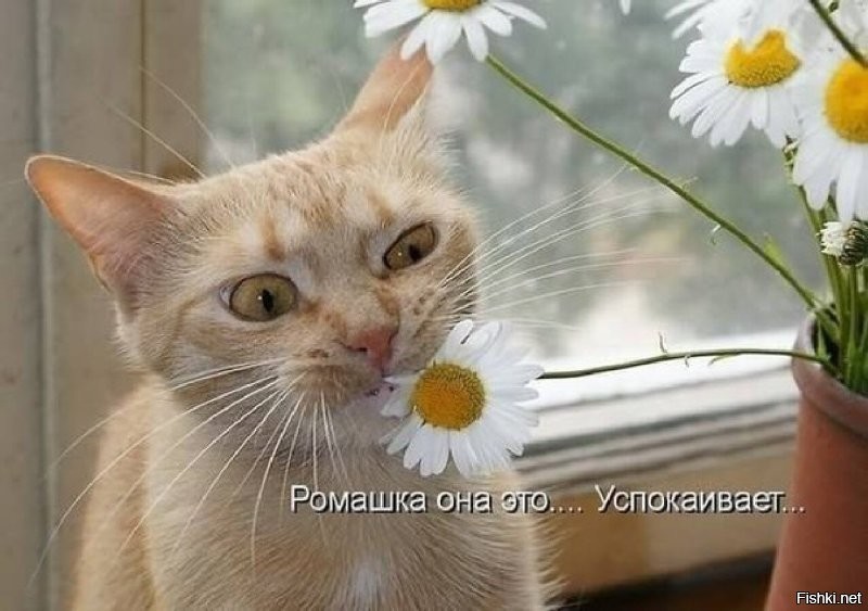 20 фотографий, которые заменят тысячи слов