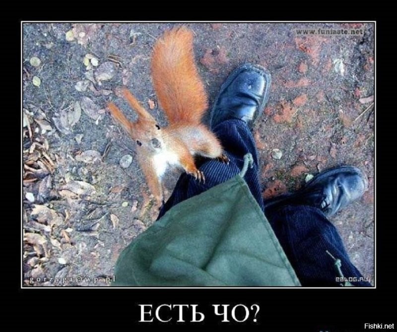 20 фотографий, которые заменят тысячи слов