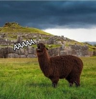 Добавлю и я, пожалуй!