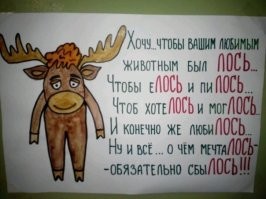 Встреча с лосем в лесу