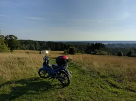 Иосиф Бродский в пионерлагере. п. Поляны. Можно еще добавить на "лысой горе", фото из яндекса. 60.328744, 29.271917
