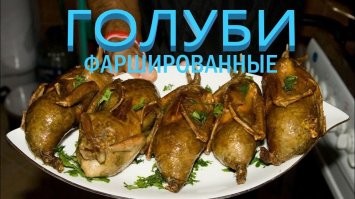 Девочки унесли двух голубей в рюкзаке