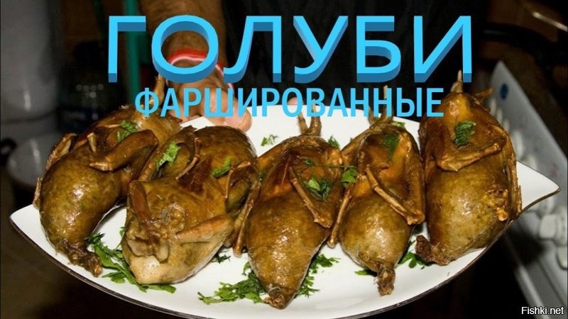 Девочки унесли двух голубей в рюкзаке