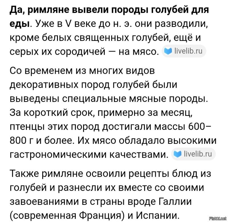 Собственно, наши "помоечные" голуби, это одичавшие домашние животные.